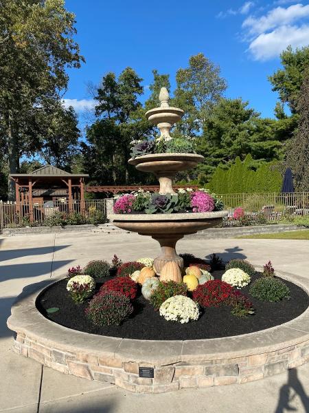 Art Landscaping