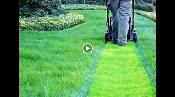 Saunders Lawn Care LLC
