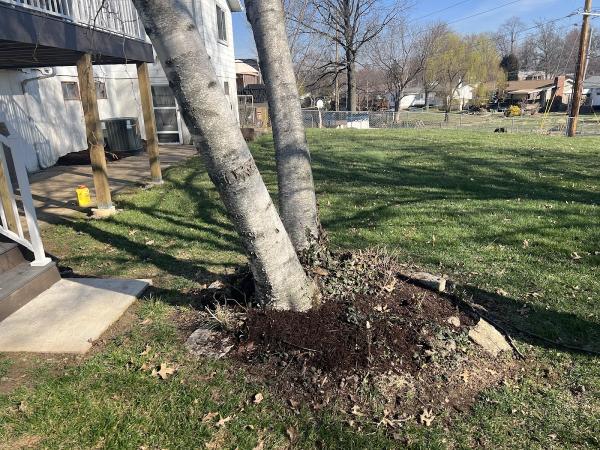 Saunders Lawn Care LLC