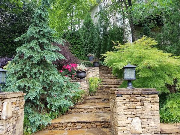 Green Landscaping