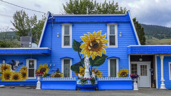 A & C Painting Services