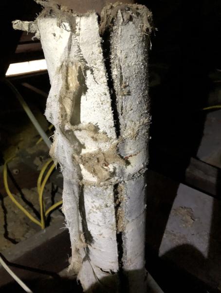Big Easy Environmental Services