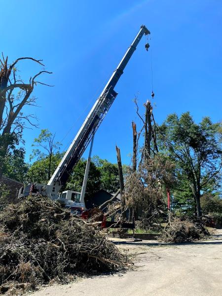 Primo Tree Experts