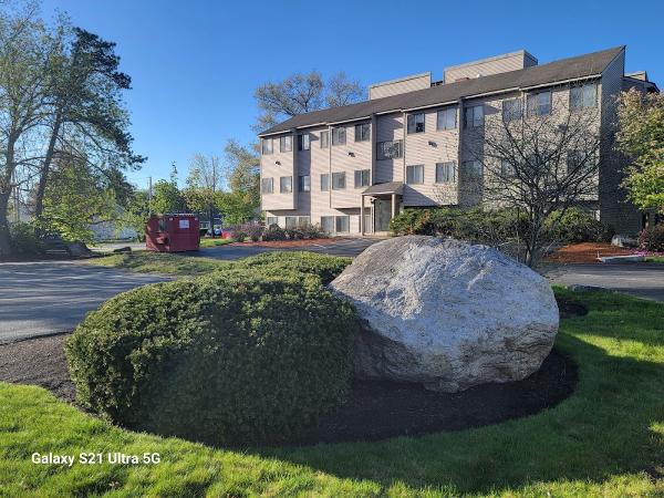 Real Property Management Absolute