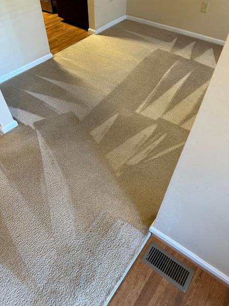 Eco Carpet Pro