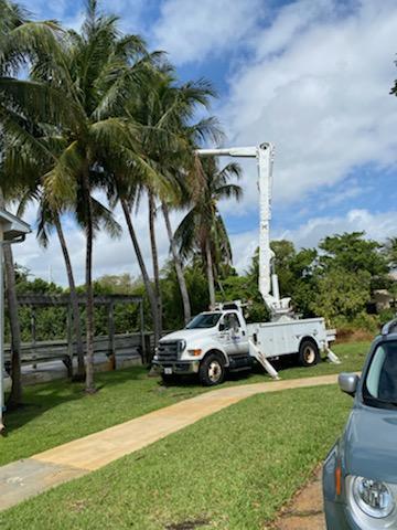 D Electrician Technical Services Inc