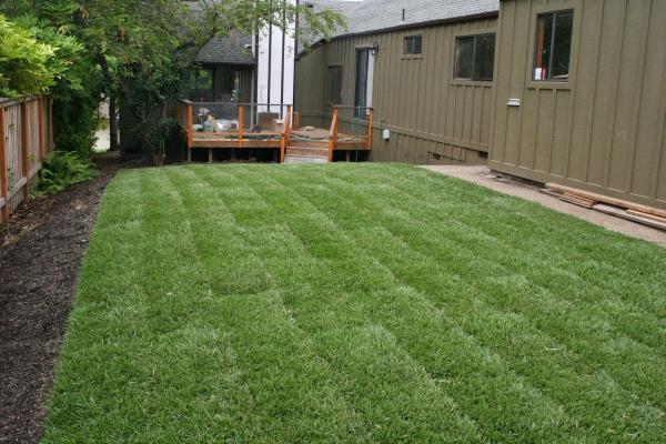 Living Concepts Landscape Services