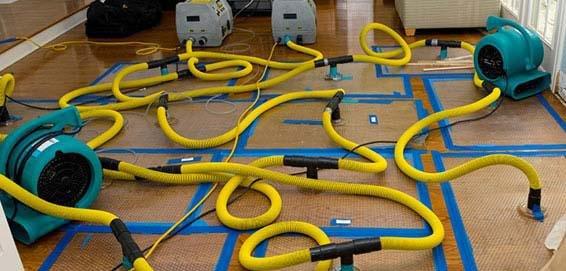 Wise Choice Restoration and Carpet Care