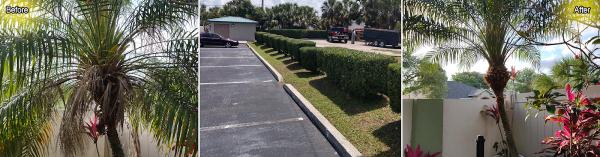 Florida Ground Maintenance