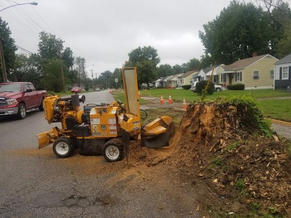 Foree Tree Service