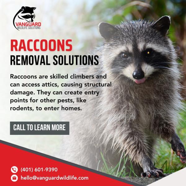 Vanguard Wildlife Solutions