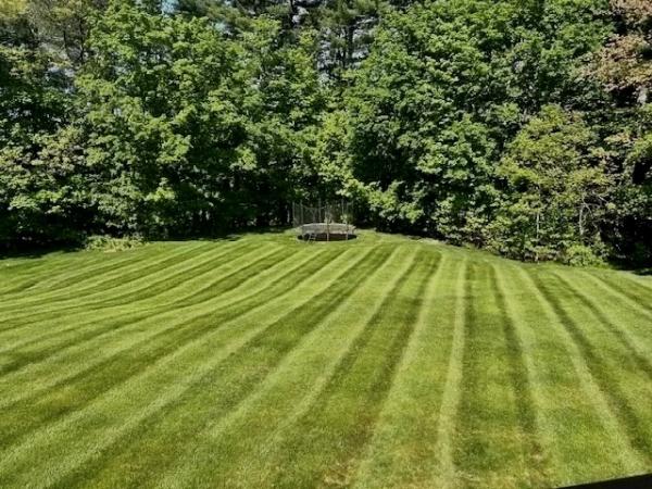 Brown Landscape Management LLC
