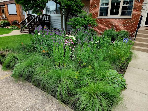 Anne Roberts Gardens