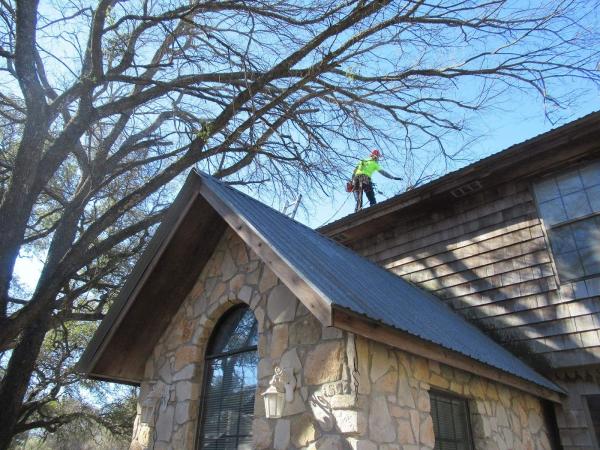 Hook and Ladder Tree Service
