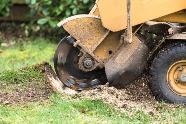 Wilmington Stump Grinding