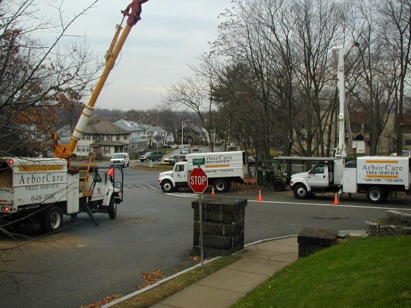 Arbor Care Tree Service