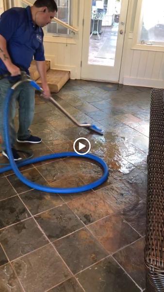 Mr. Steam Carpet & Upholstery Cleaning