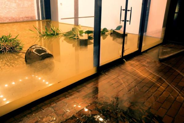 Pembroke Pines Mold Removal Experts