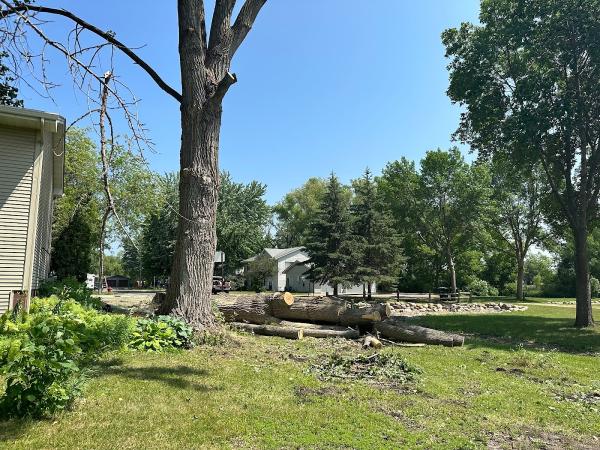 GR Tree Service MN