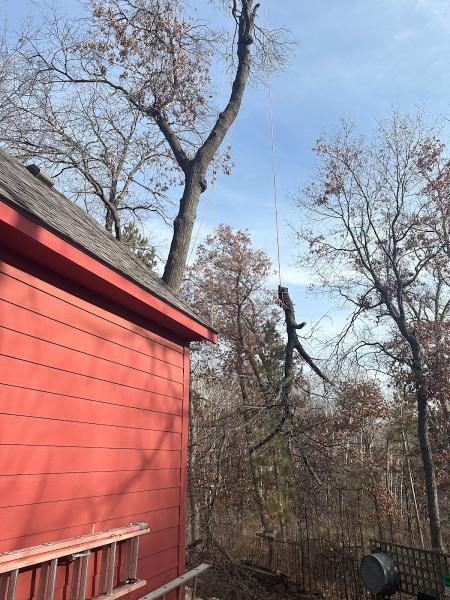 GR Tree Service MN