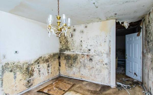 Rapid Restoration Recovery