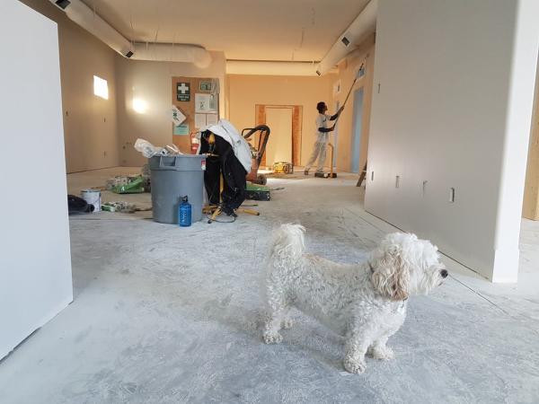 Pristine Construction Services