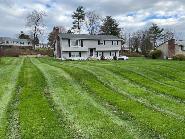 Organic Nature Lawn Care