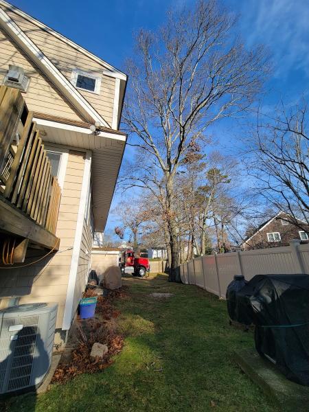 Robinson's Family Tree Service