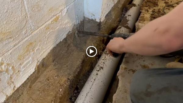 Wise Waterproofing