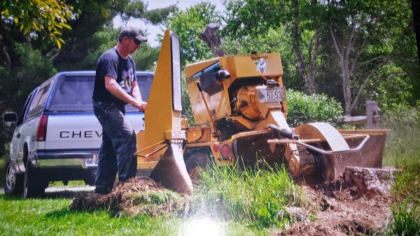 Sprague's Stump Grinding & Removal