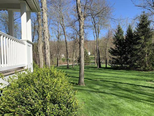 Far-View Tree and Lawn Care