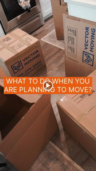Vector Moving