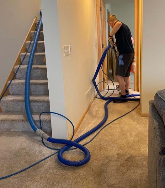 Bloomington Carpet & Upholstery Cleaning