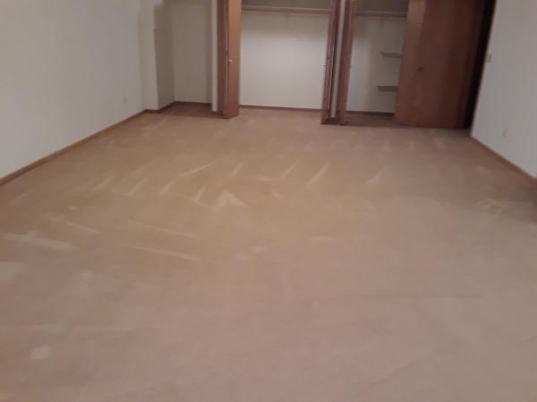 Bloomington Carpet & Upholstery Cleaning