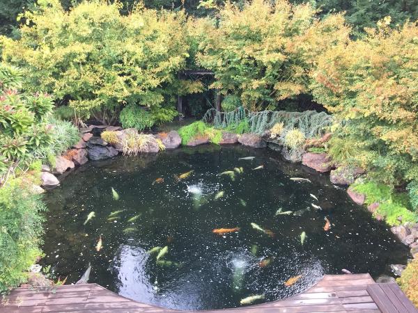 Lafayette Tree & Landscape Inc.