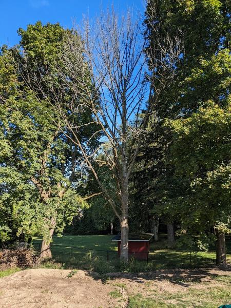 Four Seasons Tree Services
