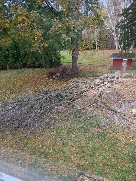Four Seasons Tree Services