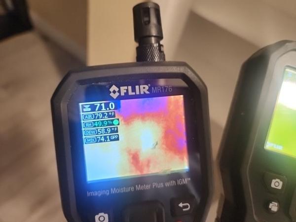 Mold & Duct Cleaning Experts