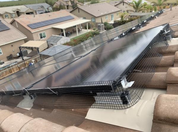 Squeaky Clean Solar Panels