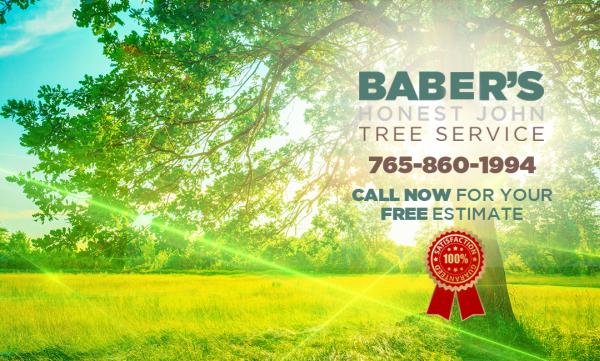 Baber's Honest John Tree Services