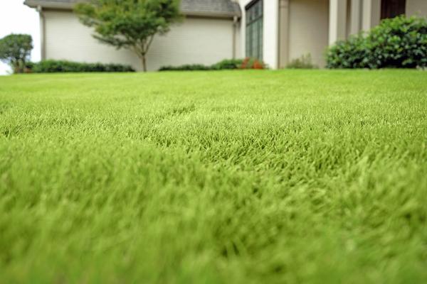 Southern Lawns