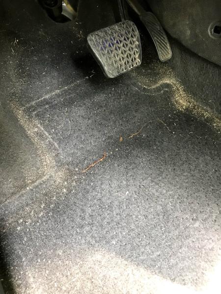Sureclean Professional Solutions