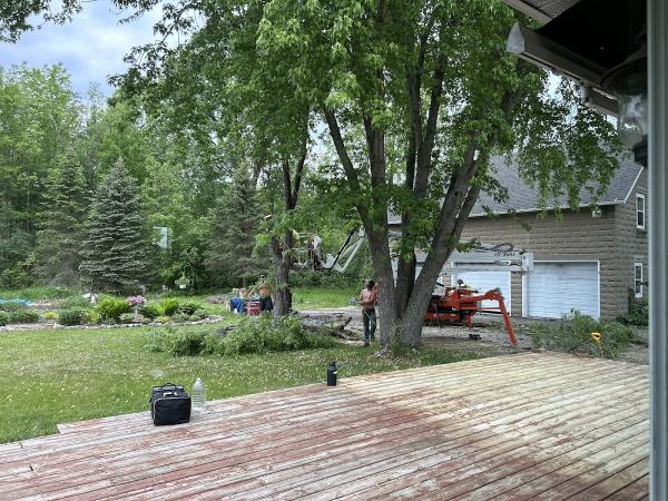 Dan's Tree Services