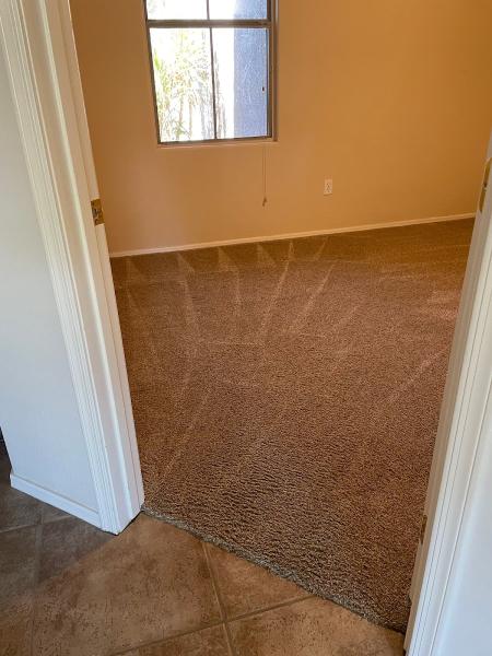Sunsational Floor Care