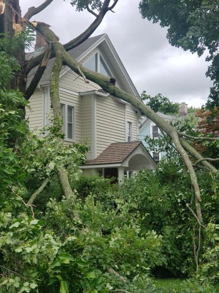 Ceciliano's Tree Services LLC