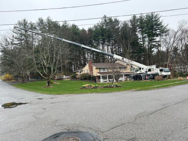 Martel Crane Service & Tree Removal