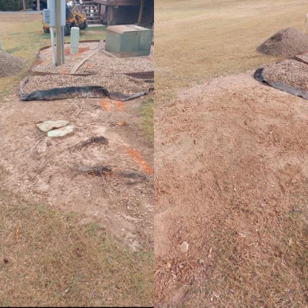 Northwest Arkansas (Nwa) Stump Removal