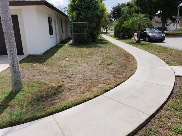 Black Kat Pressure Washing and Lawn Inc.