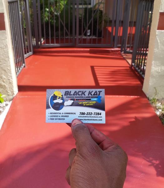 Black Kat Pressure Washing and Lawn Inc.