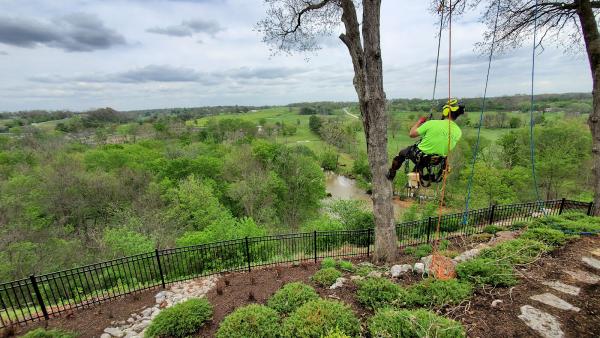 Spira Tree Care